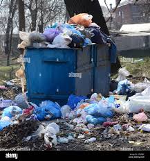 Professional Junk Removal Services in Shannondale, WV