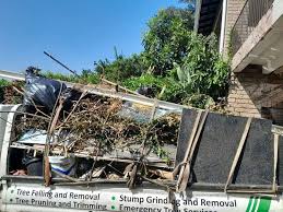 Best Same-Day Junk Removal Services  in Shannondale, WV
